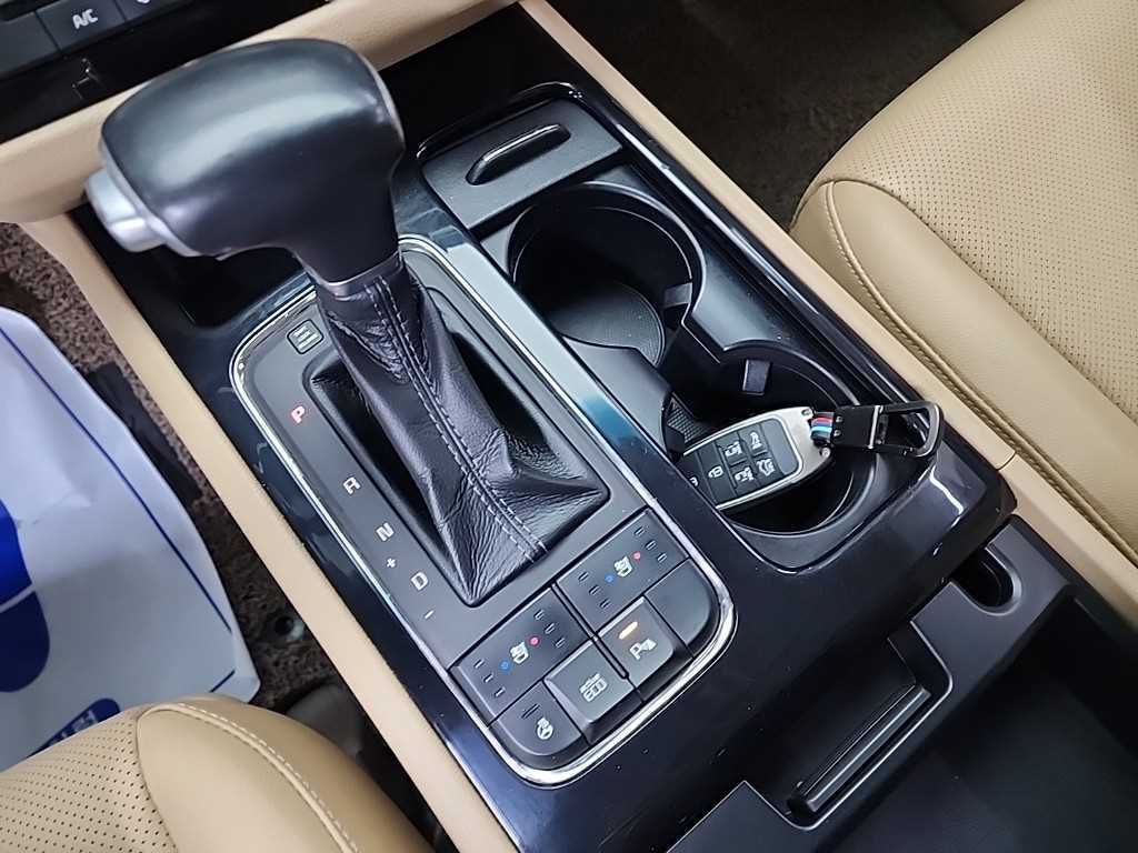 KIA Carnival - Vista 8