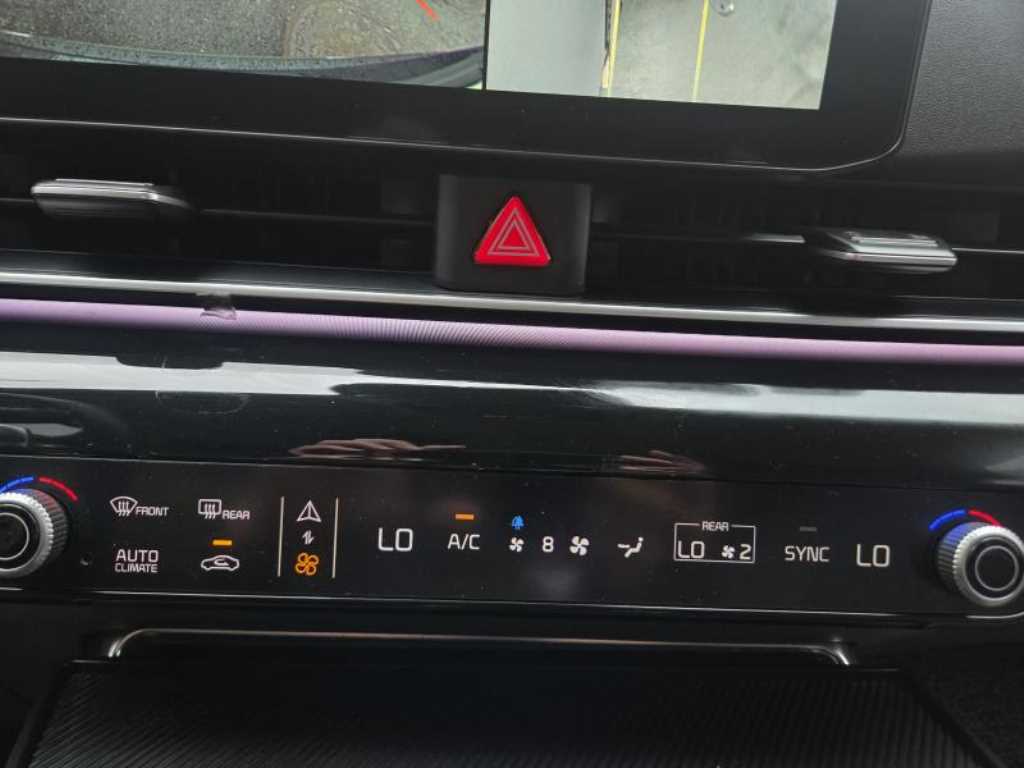 KIA Carnival - Vista 8