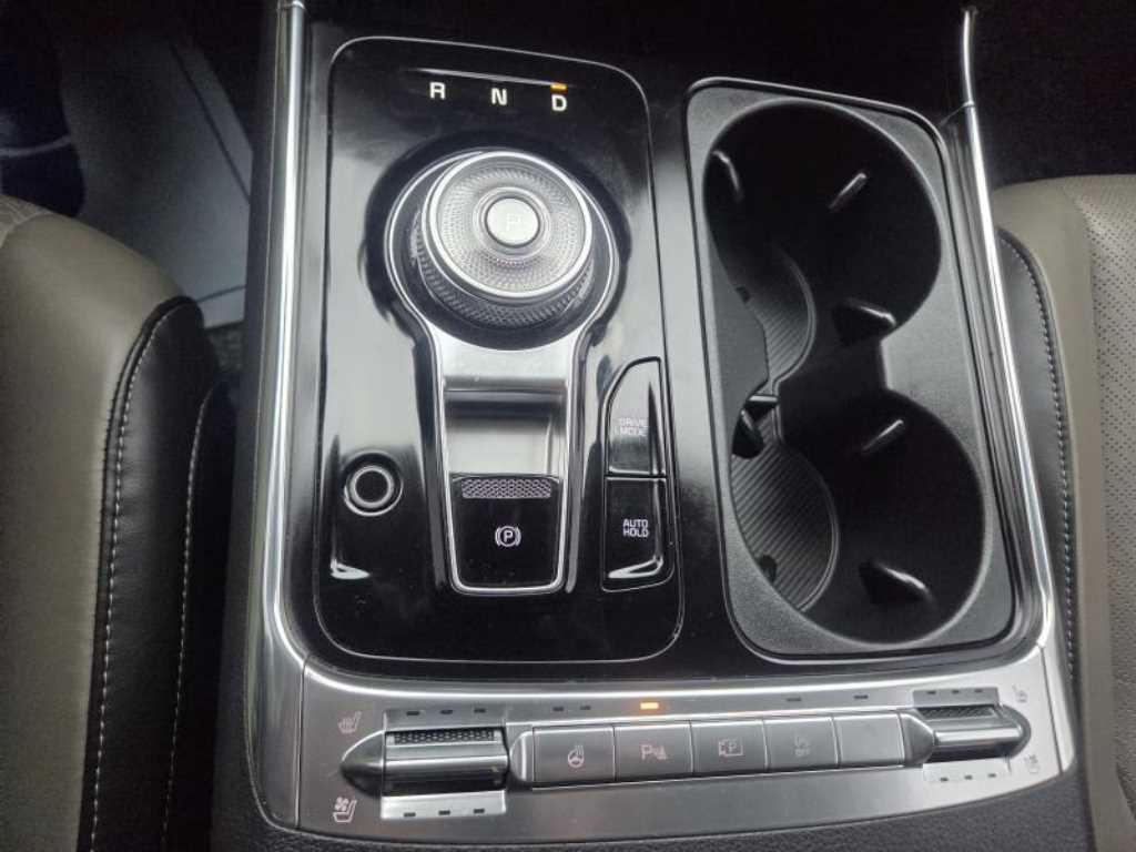 KIA Carnival - Vista 9