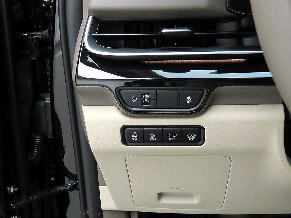 KIA Carnival - Vista 12