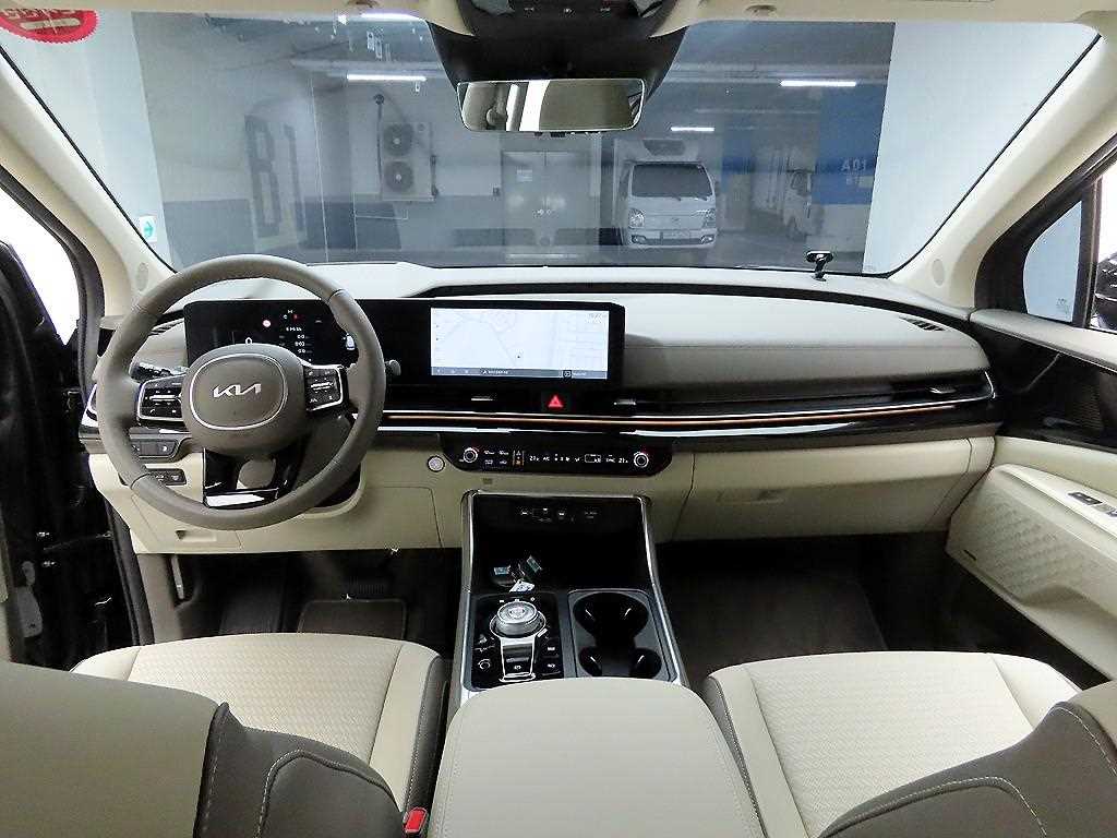 KIA Carnival - Vista 8