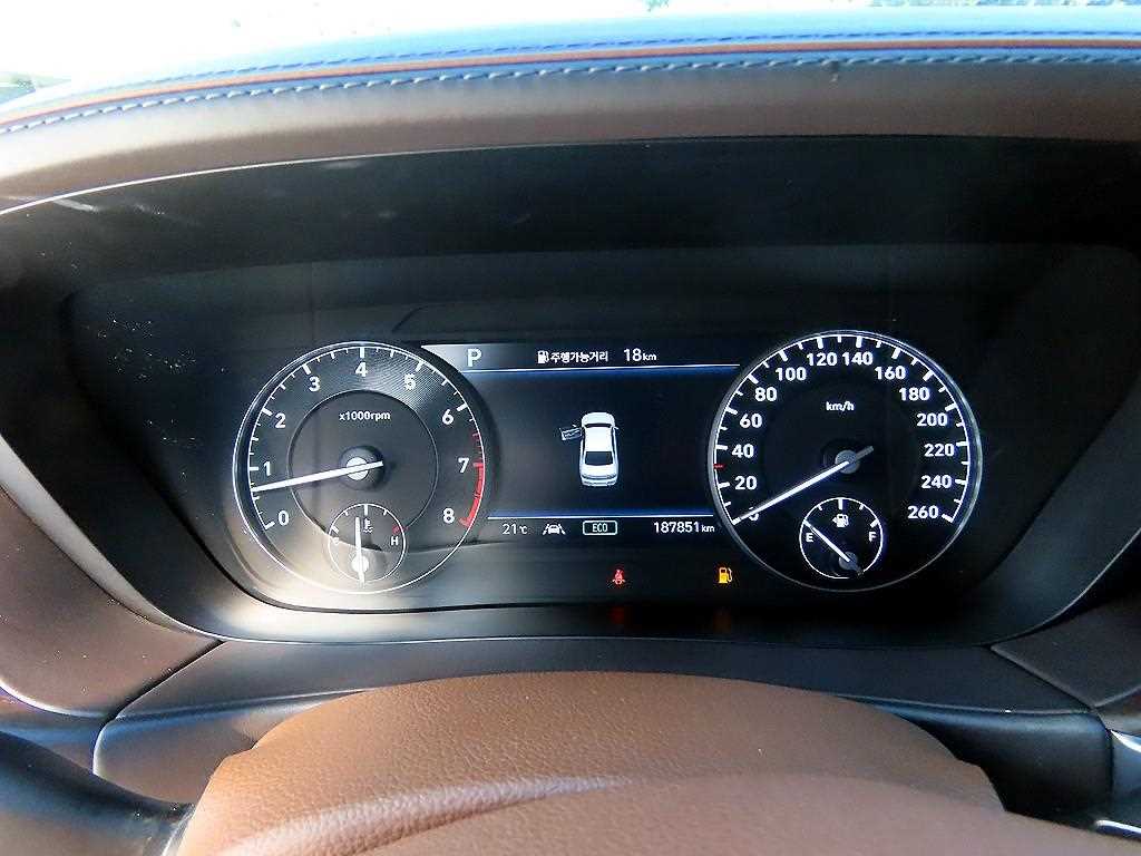 Genesis G90 - Vista 9