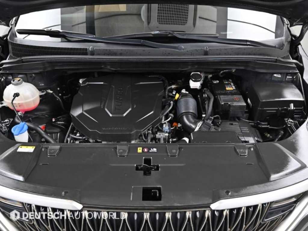 KIA Carnival - Vista 6