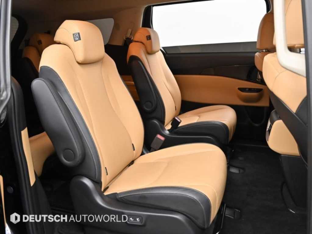 KIA Carnival - Vista 12