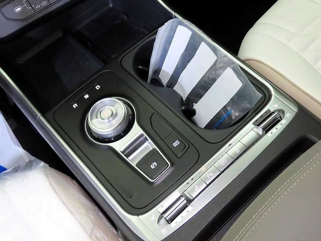 KIA Carnival - Vista 12