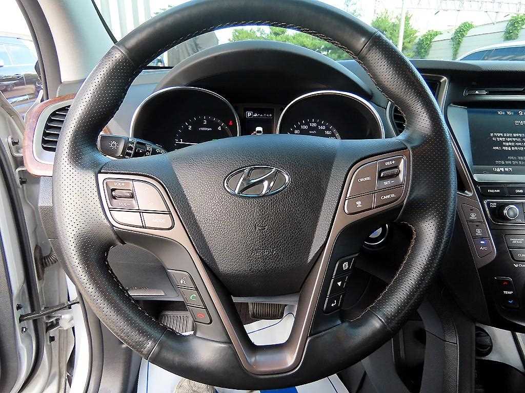 HYUNDAI Maxcruz - Vista 8