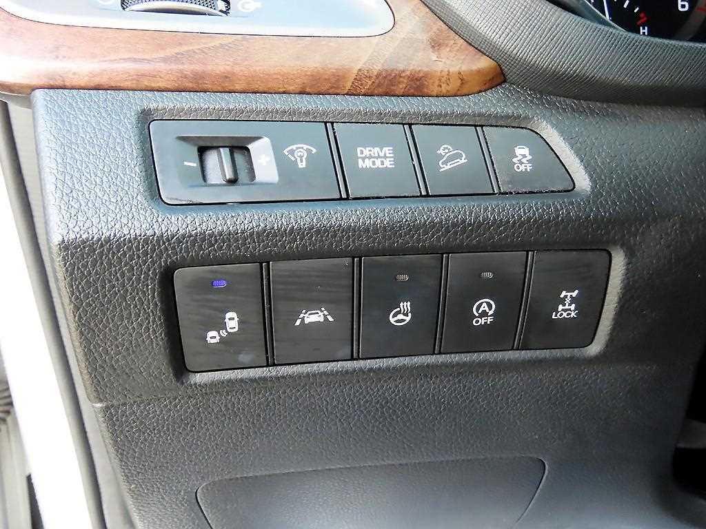 HYUNDAI Maxcruz - Vista 12