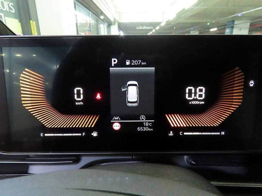 KIA Carnival - Vista 9