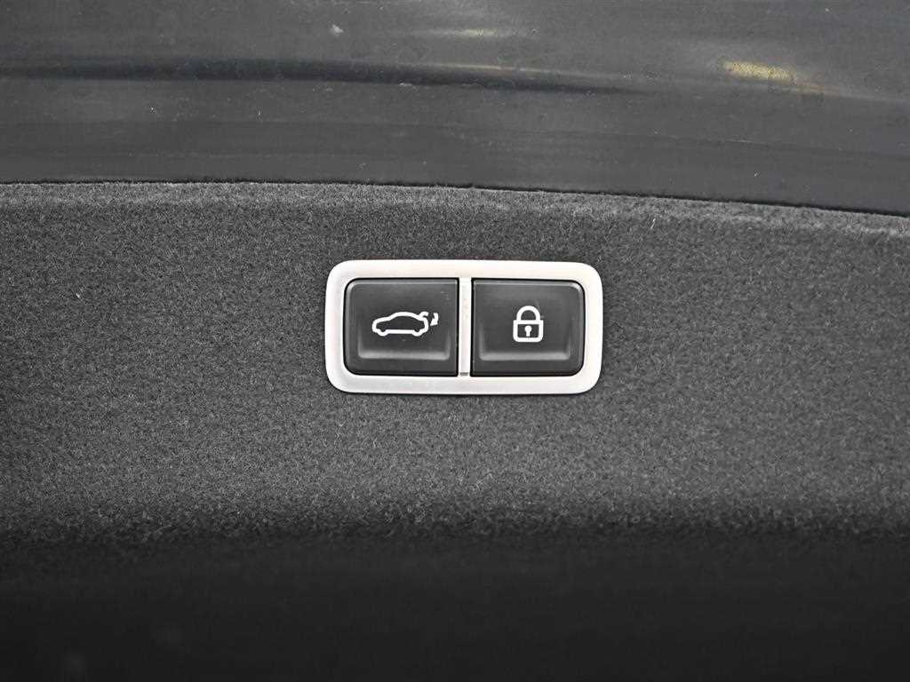 Genesis G80 - Vista 12