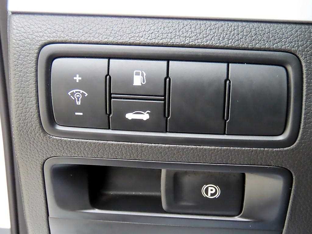 HYUNDAI Genesis - Vista 12