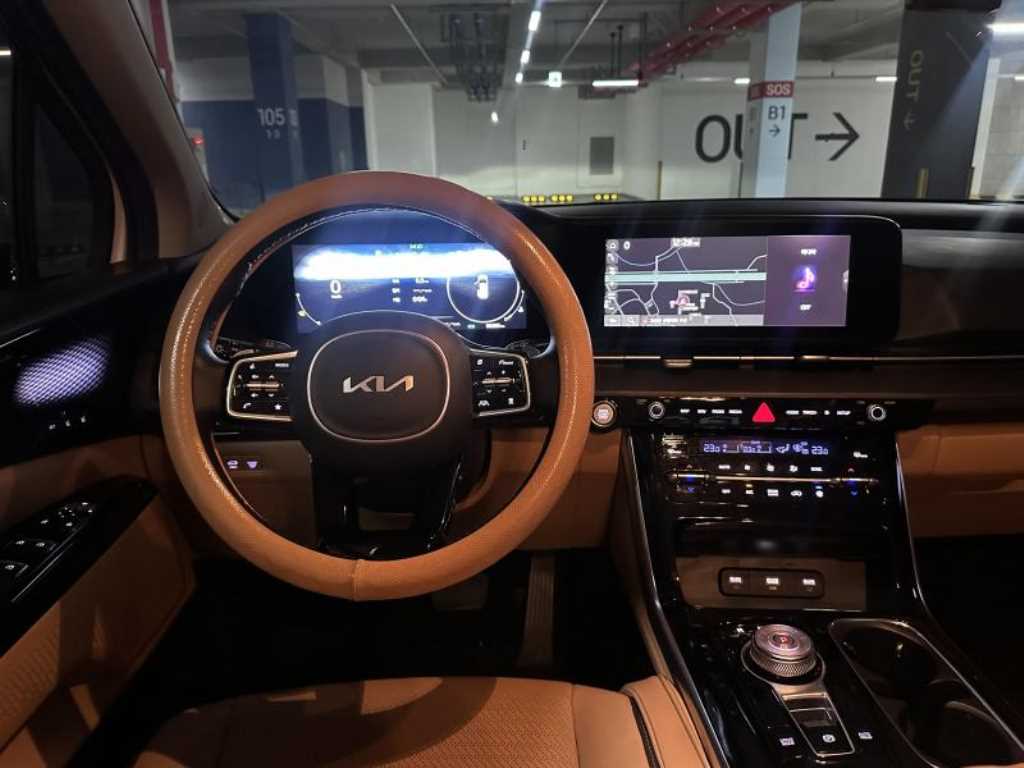 KIA Carnival - Vista 10