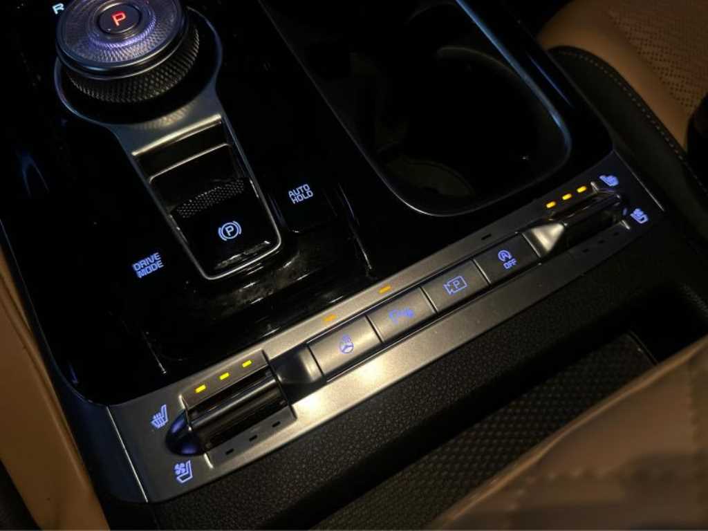 KIA Carnival - Vista 8