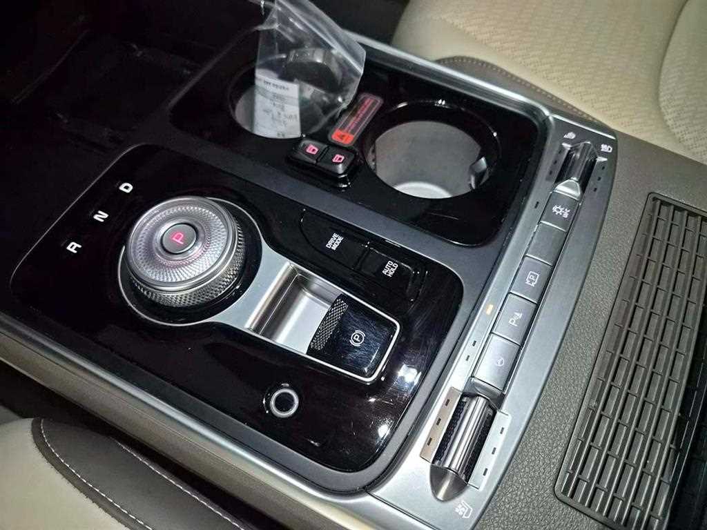 KIA Carnival - Vista 10