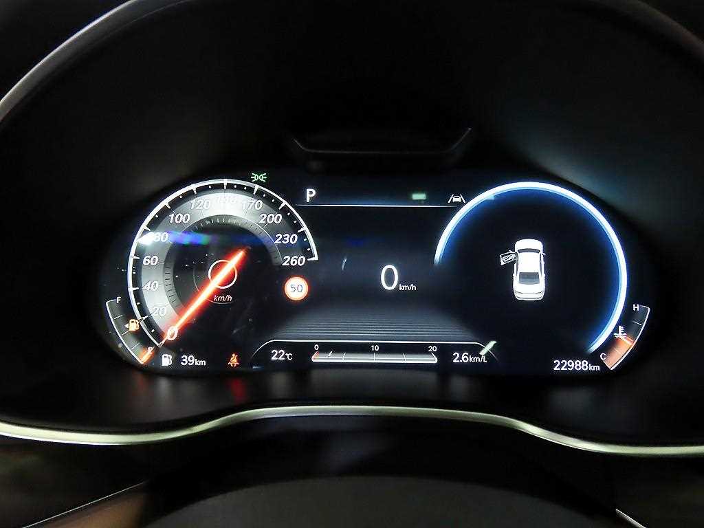 Genesis G80 - Vista 9