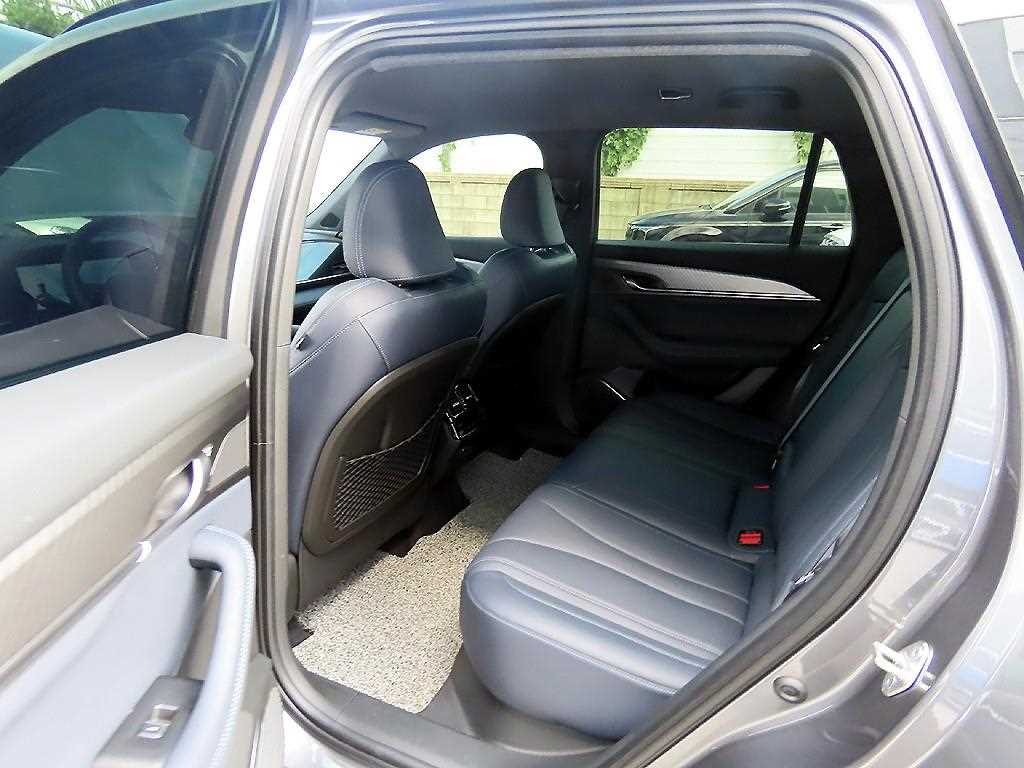 SAMSUNG Grand Koleos - Vista 6