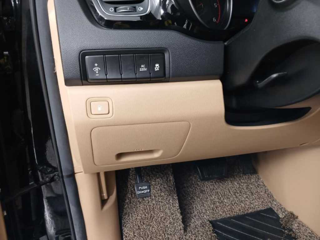 KIA Carnival - Vista 12