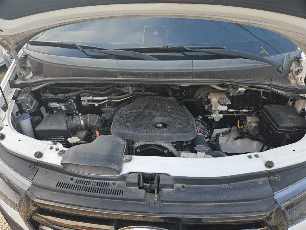 HYUNDAI Solati - Vista 5