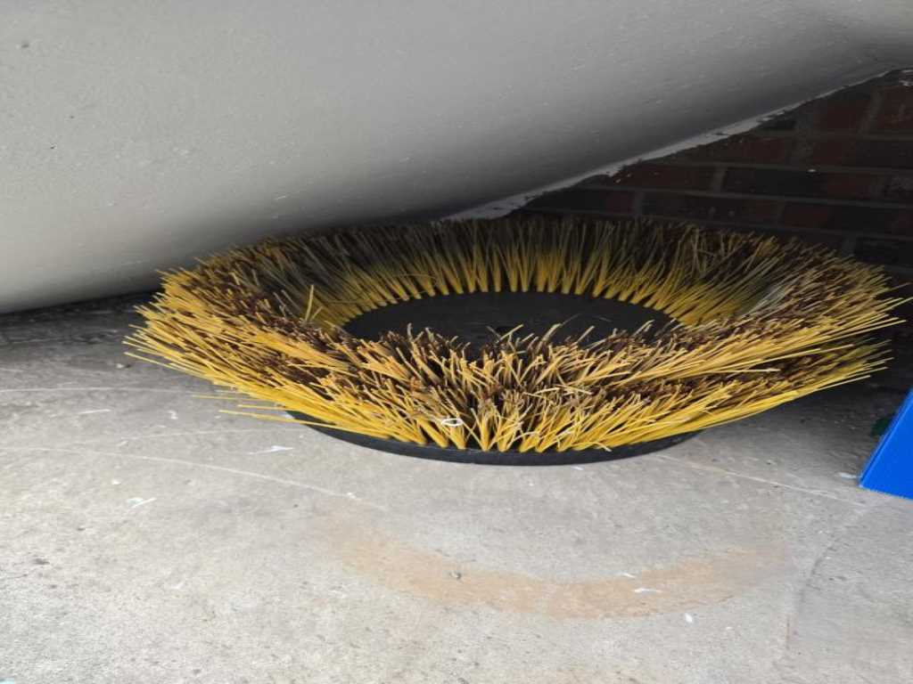 medium and large cargo Special - Vista 10