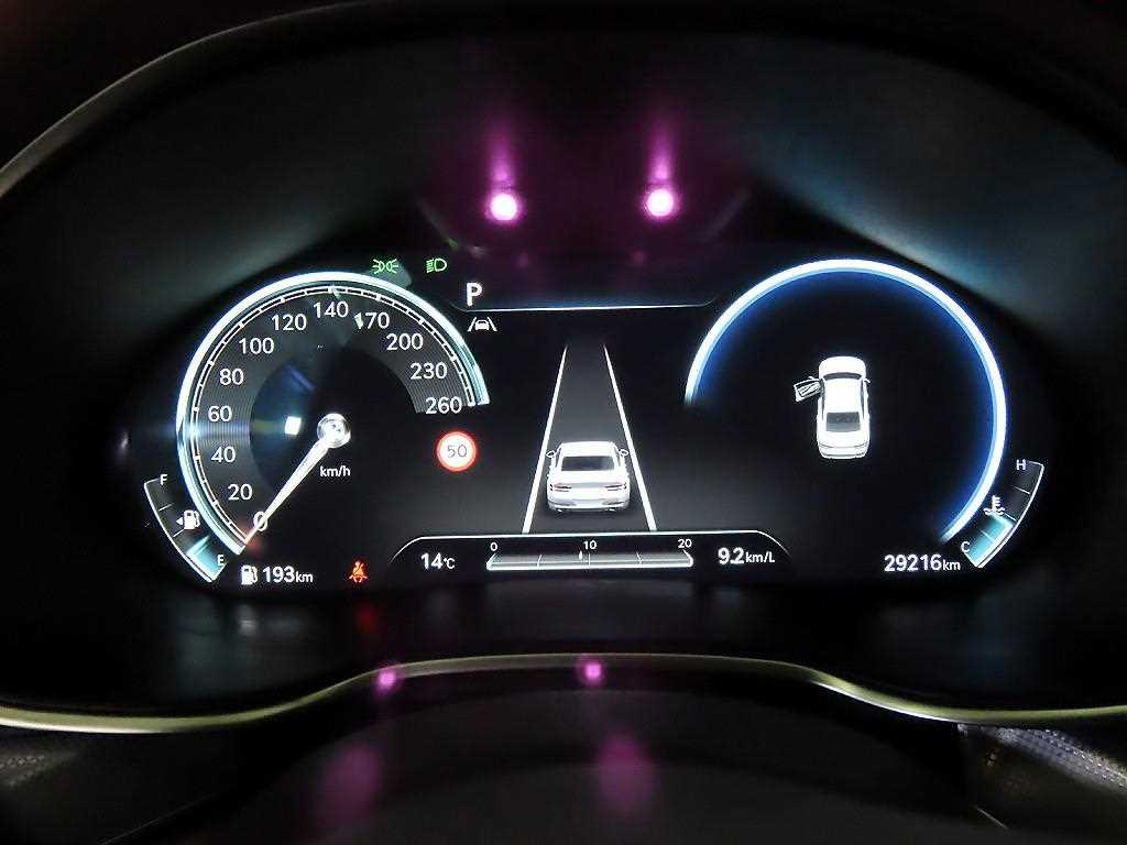 Genesis G80 - Vista 9