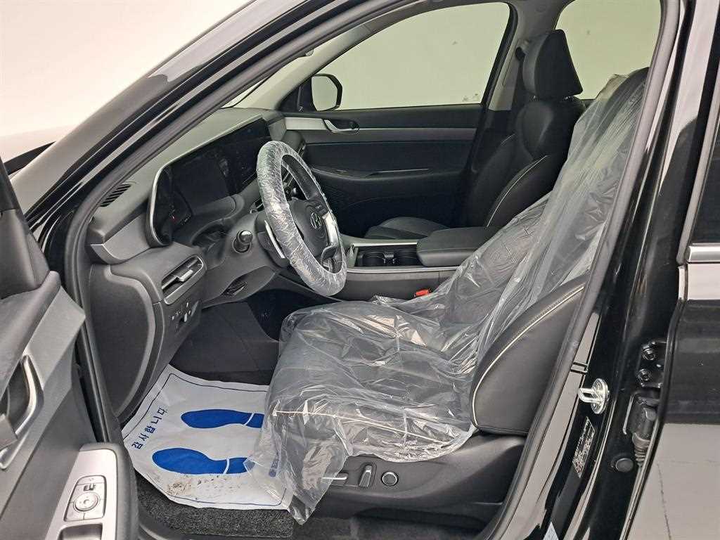 HYUNDAI Palisade - Vista 11