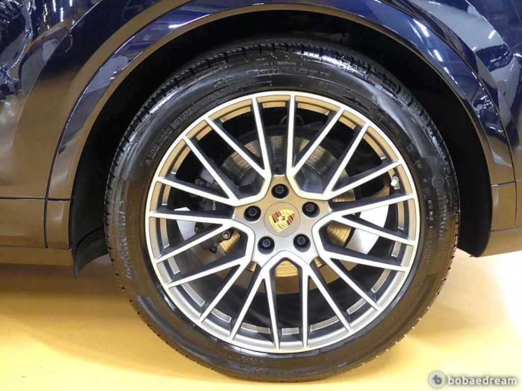 Porsche Cayenne - Vista 9