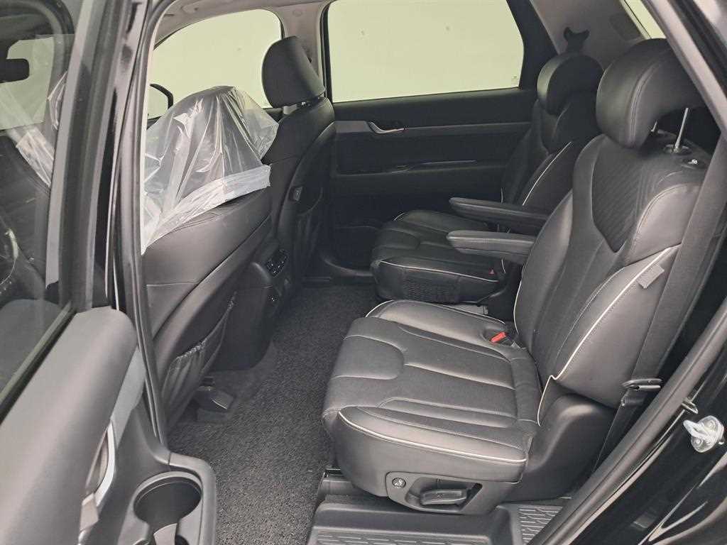 HYUNDAI Palisade - Vista 12