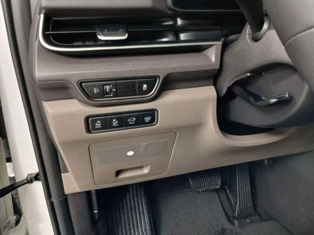 KIA Carnival - Vista 12