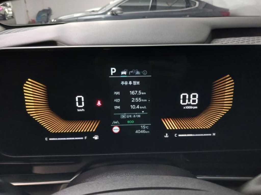 KIA Carnival - Vista 10