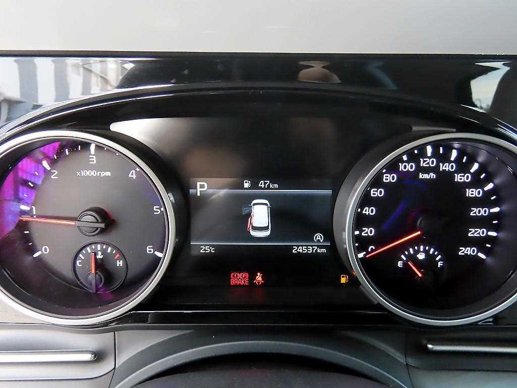 KIA Carnival - Vista 10