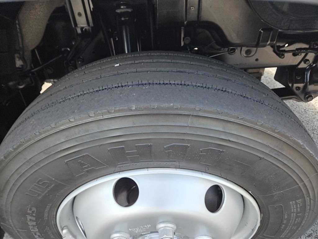 medium and large cargo Cargo - Vista 11