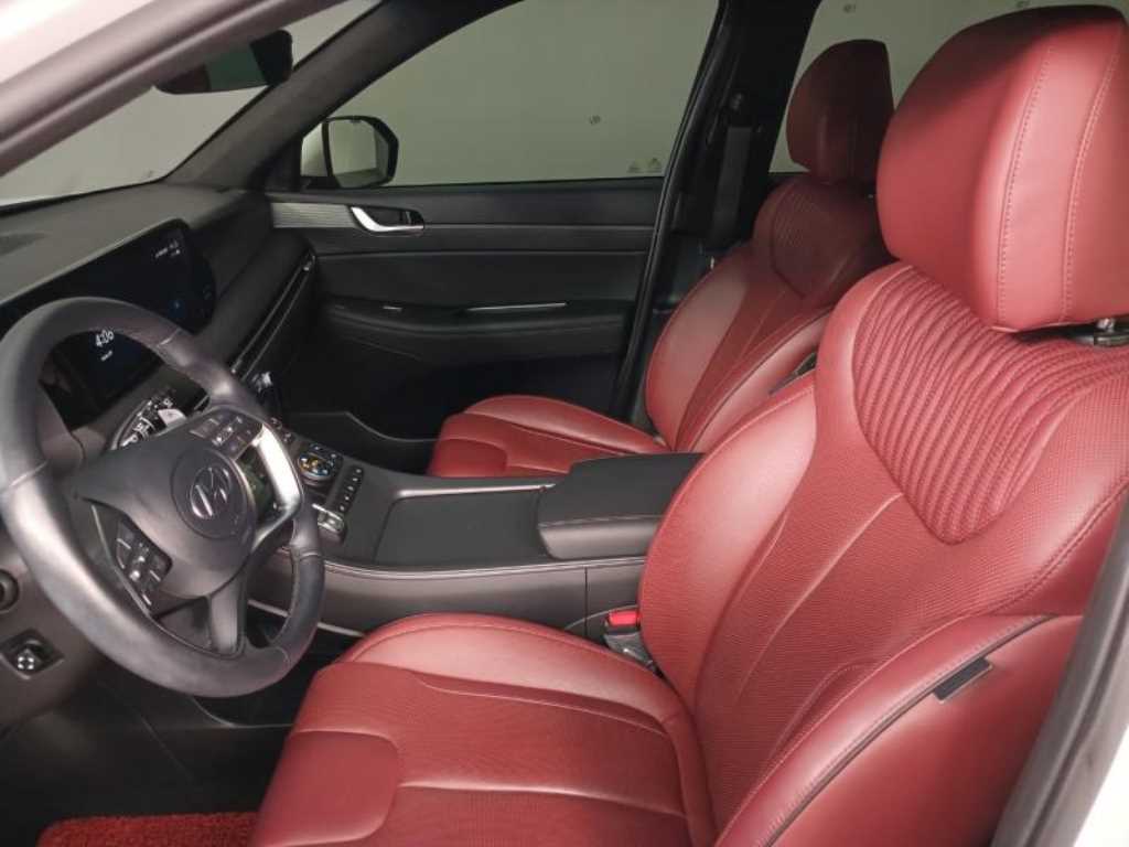 HYUNDAI Palisade - Vista 6