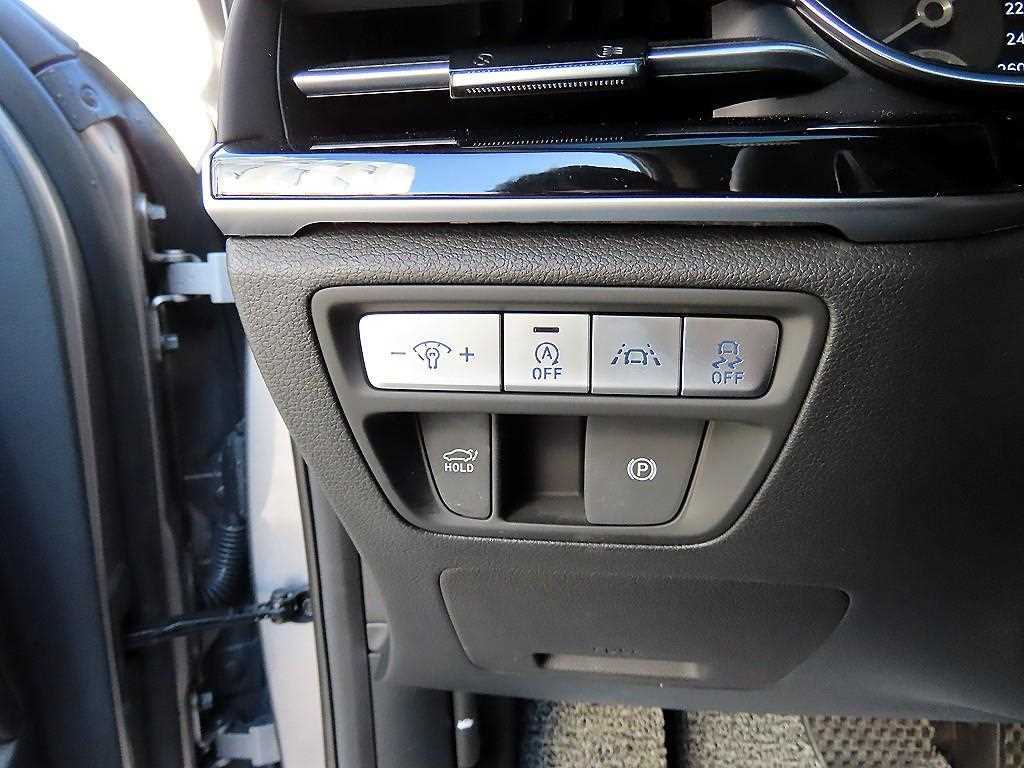 Genesis G80 - Vista 12