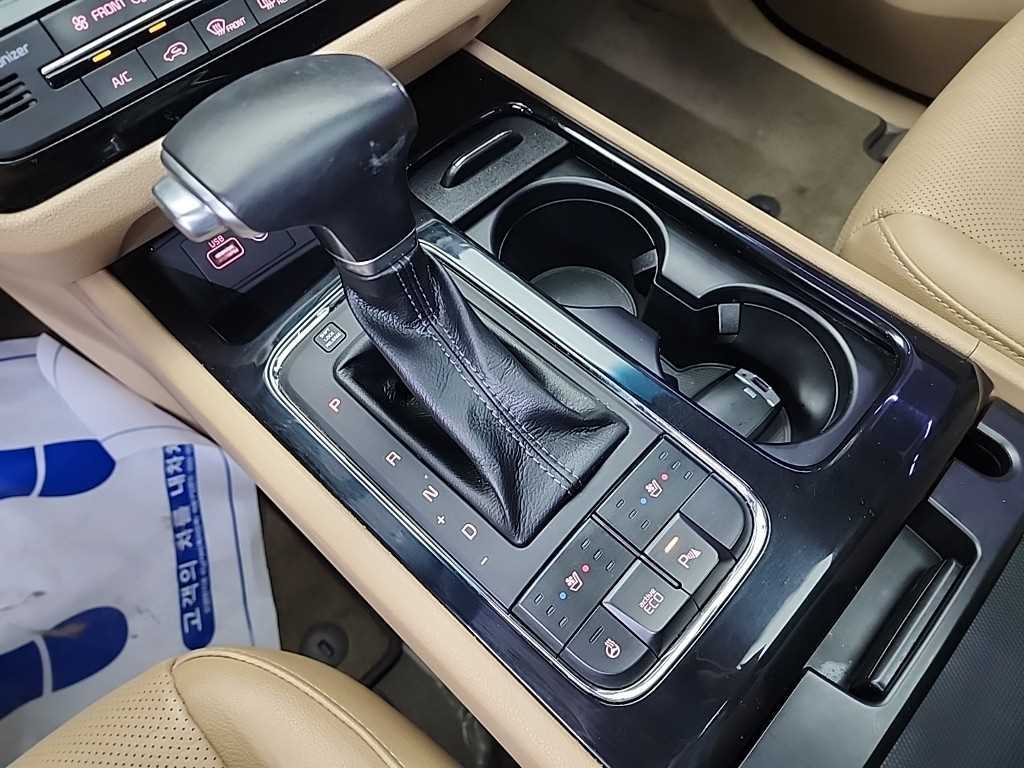 KIA Carnival - Vista 8