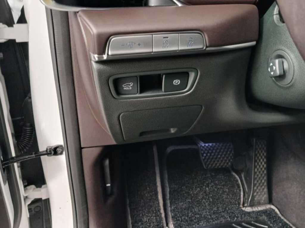 Genesis GV80 - Vista 12