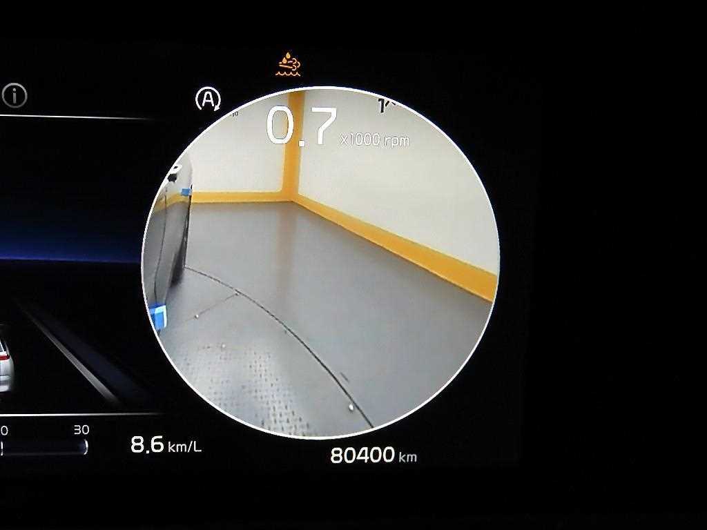 KIA Carnival - Vista 8