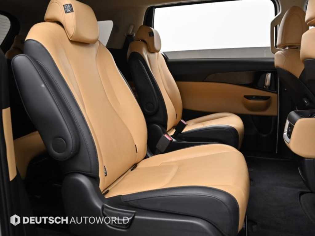 KIA Carnival - Vista 12