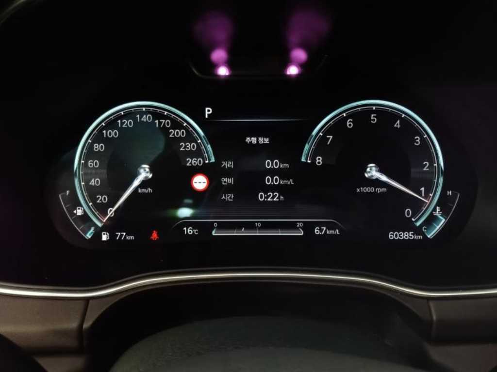 Genesis GV80 - Vista 10