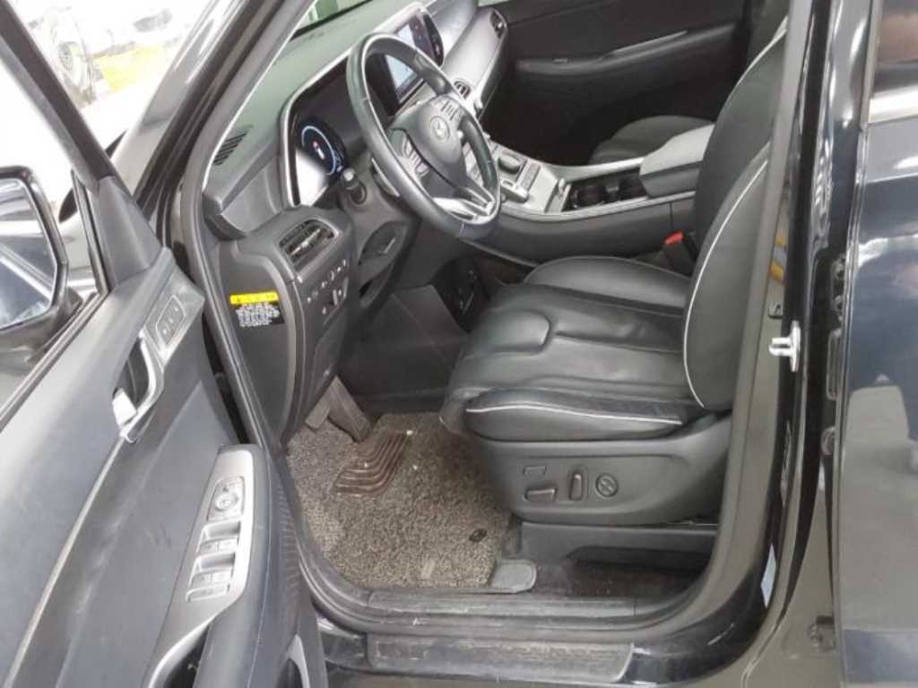 HYUNDAI Palisade - Vista 6