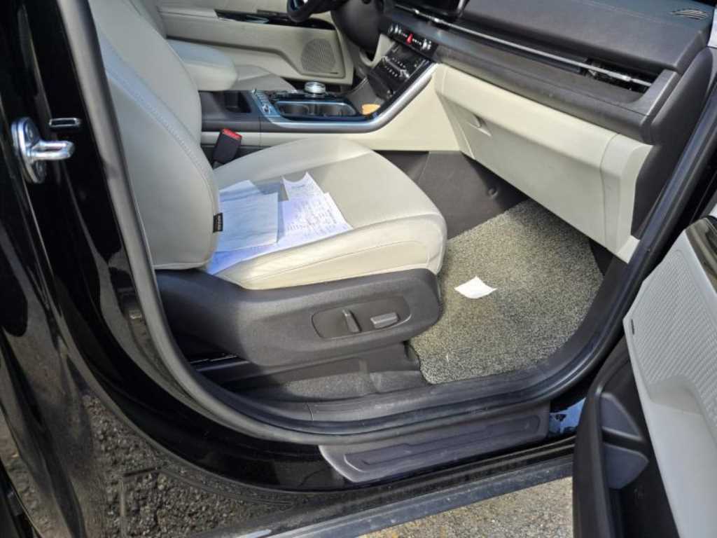 KIA Carnival - Vista 12