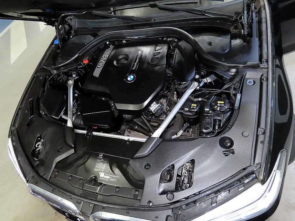 BMW 5 Series 2019 Negro - Importación desde Corea - HF Imports Iquique - Foto 19