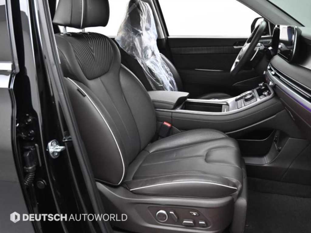 HYUNDAI Palisade - Vista 10