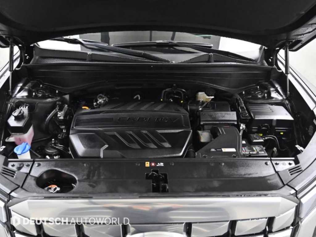 HYUNDAI Palisade - Vista 6