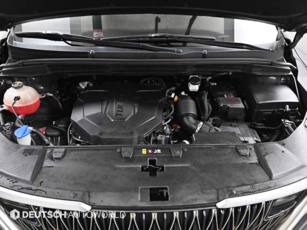 KIA Carnival - Vista 6