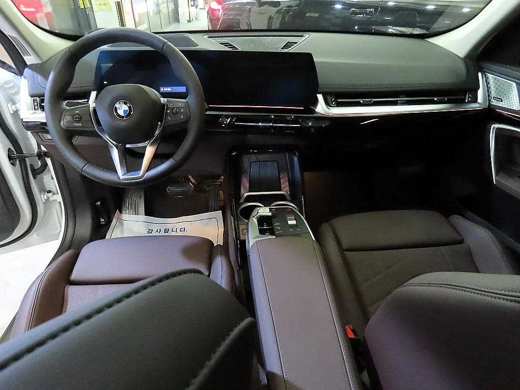 BMW X1 - Vista 10