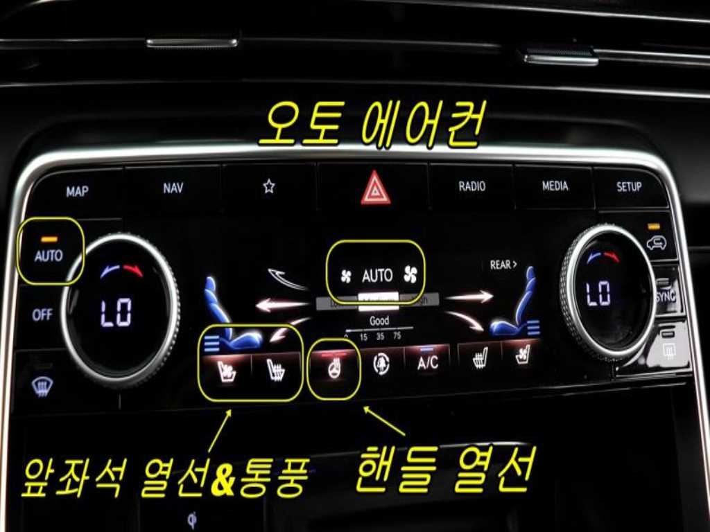 Genesis GV80 - Vista 8