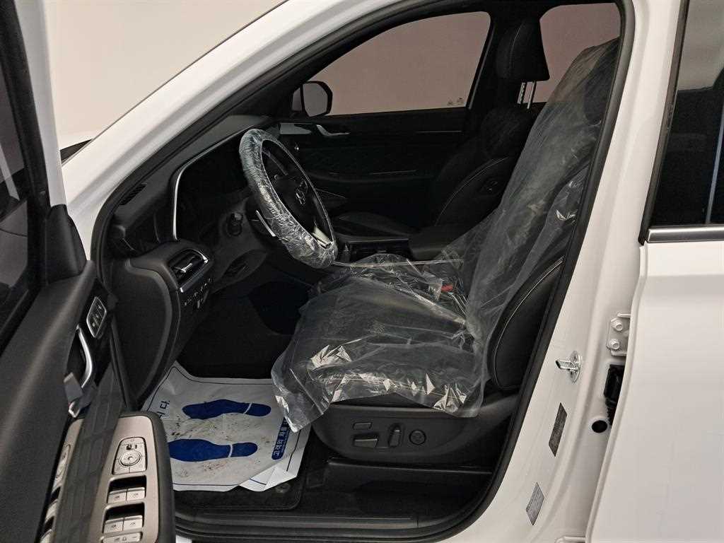 HYUNDAI Palisade - Vista 11