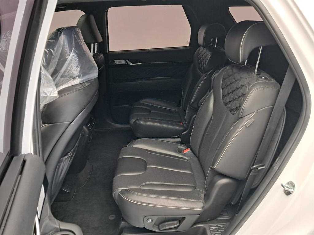 HYUNDAI Palisade - Vista 12