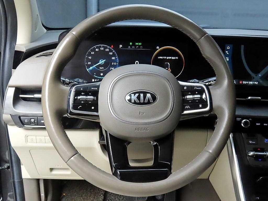 KIA Carnival - Vista 9