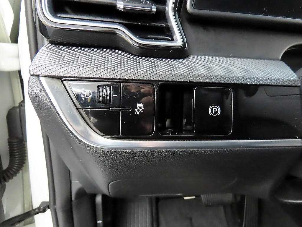 KIA Sportage - Vista 12