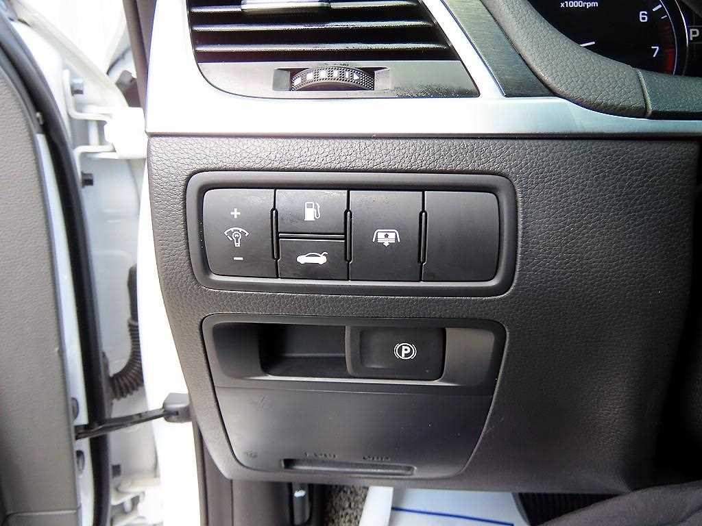 HYUNDAI Genesis - Vista 12